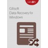 Gilisoft Data Recovery - 1 PC(Lifetime)