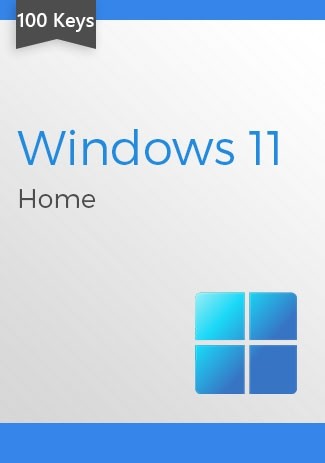 Microsoft Windows 11 Home (100 keys)