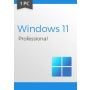 Windows 11 Professional (1 PC)
